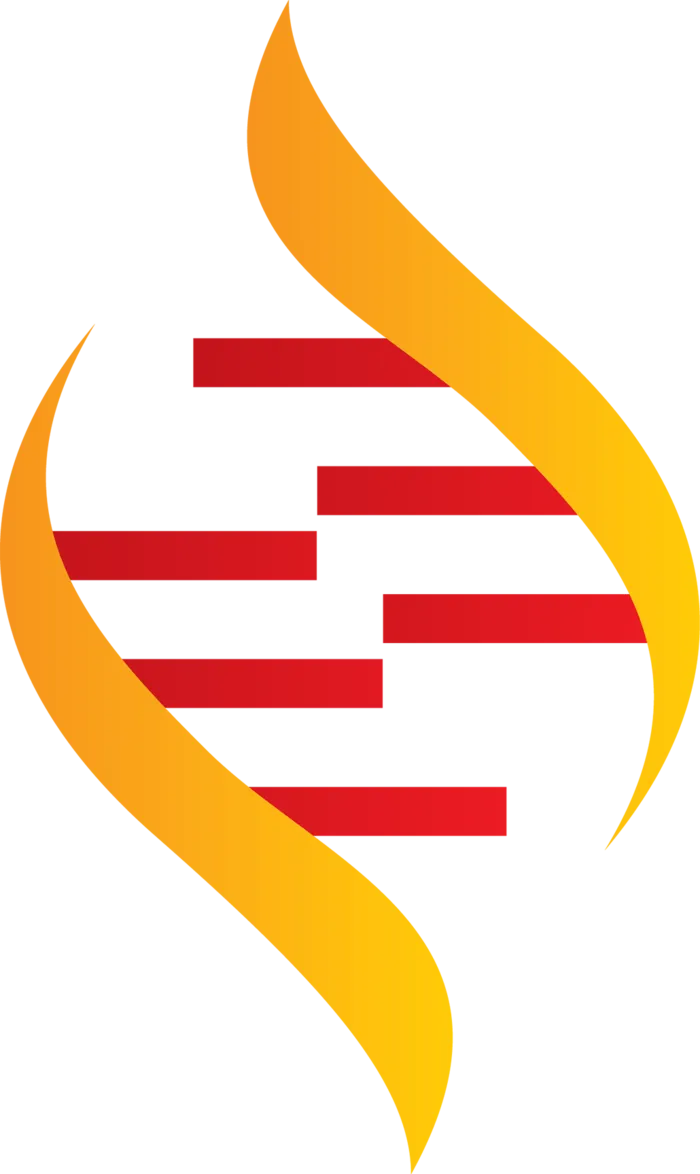 DNA链接卡通模型