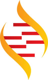 DNA链接卡通模型