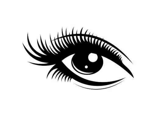 睫毛 PNG免抠(570x427)