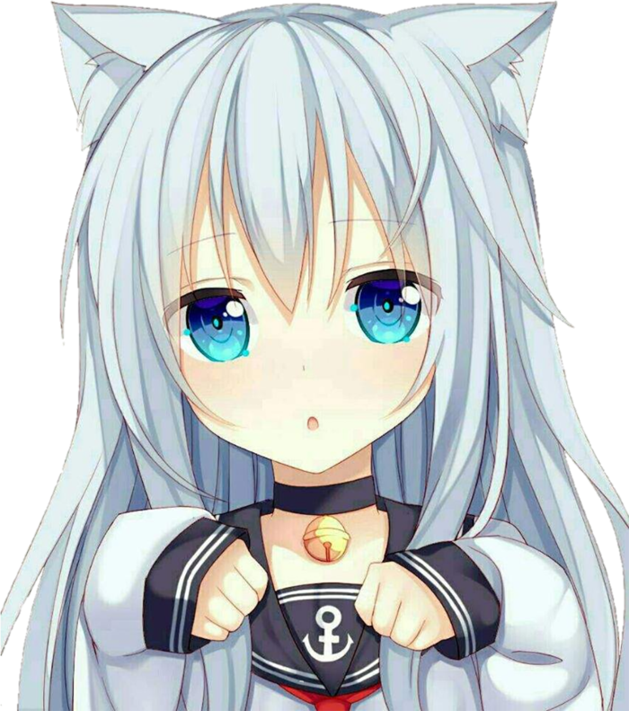 猫耳女上半部卡通简笔