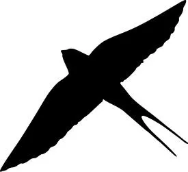 燕子 PNG免抠(275x251)