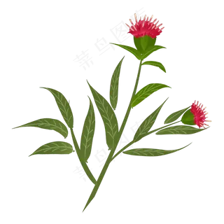 手绘草本中药药材 手绘草本中药药材