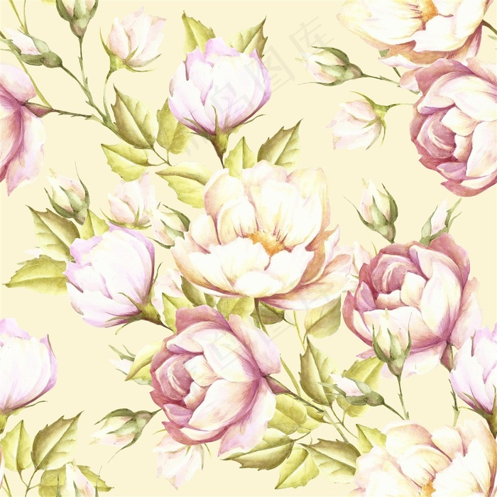 手绘粉色牡丹花朵背景素材
