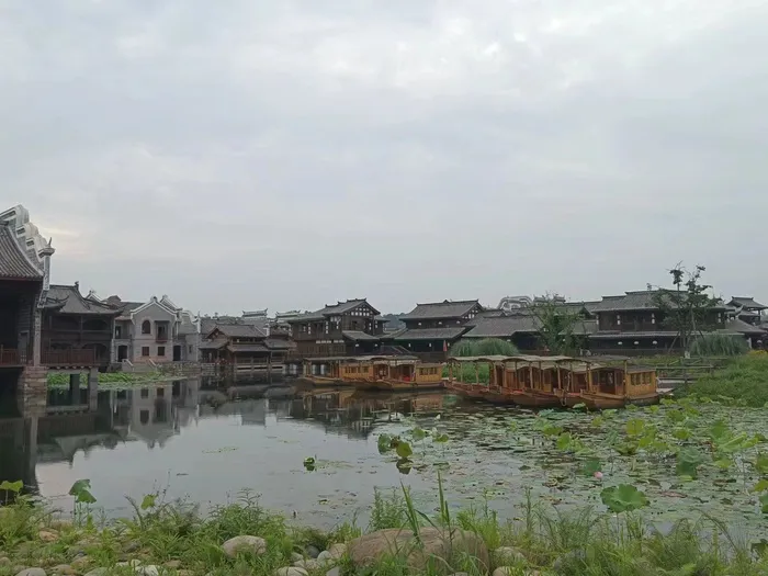 荷花与湖面建筑物高清图片