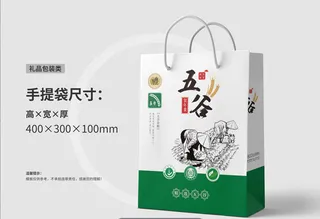 礼品包装手提袋13