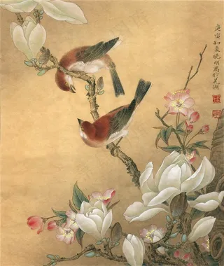 玉兰山雀工笔画