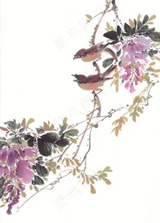 国画吉祥鸟设计图片素材 国画吉祥鸟设计图片素材