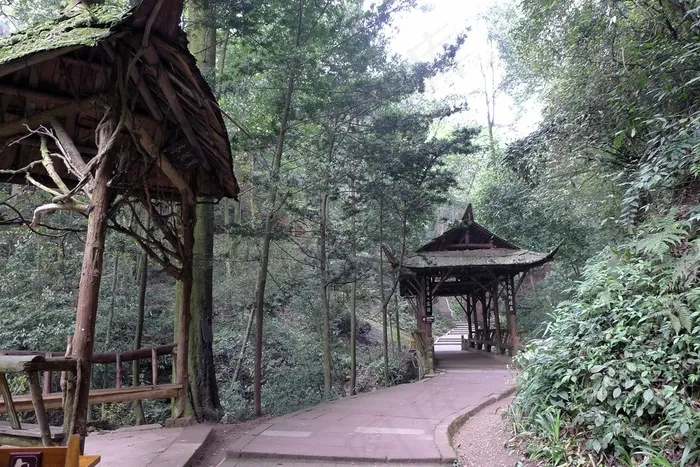 山林间木制的休息亭