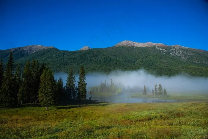 喀纳斯图片素材