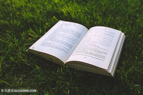 草丛中翻页的书本