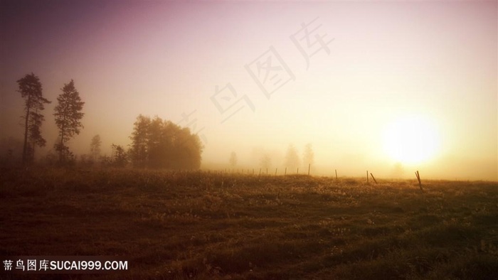 黄昏草地美景壁纸