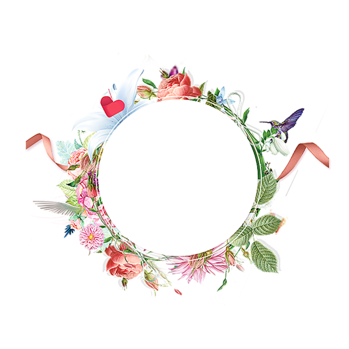 绿植小鸟花边