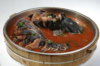 029半汤鲶鱼-大猫嫂