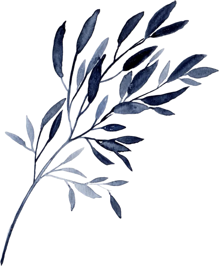 海军蓝金线水彩花卉素材