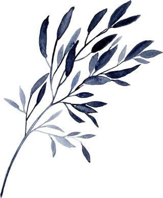 海军蓝金线水彩花卉素材