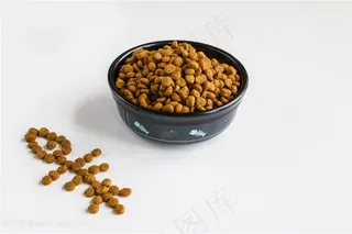 创意猫粮食物高清图片