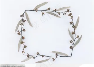 相框边框-干花组成的边框