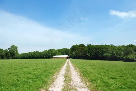 草地的风景图片 草地的风景图片