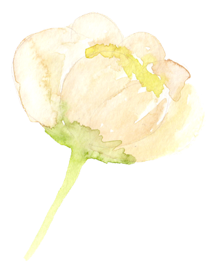 唯美森系手绘水彩花朵 免抠