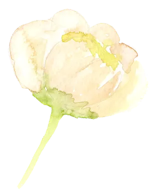 唯美森系手绘水彩花朵 免抠