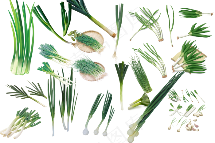 蔬菜、水果、作料