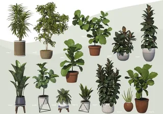 绿叶盆栽花盆绿植PSD大全合-4