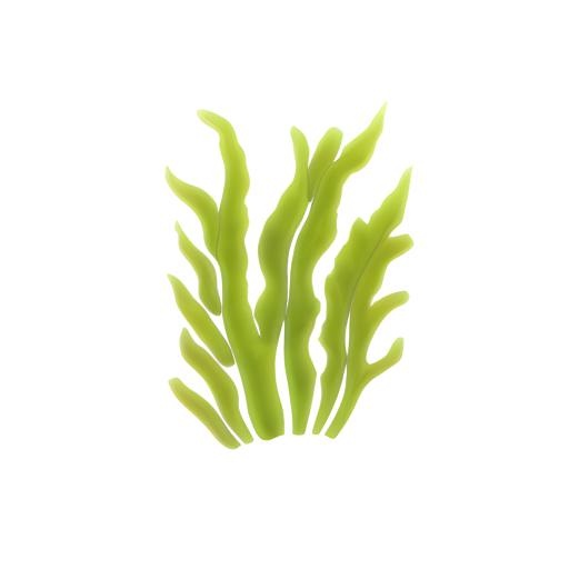 海草海藻免抠(2048x2048)