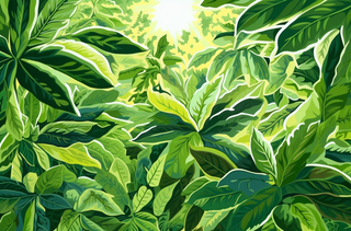 树上的茂密绿叶插画