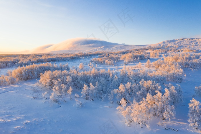 冬季森林雪景图