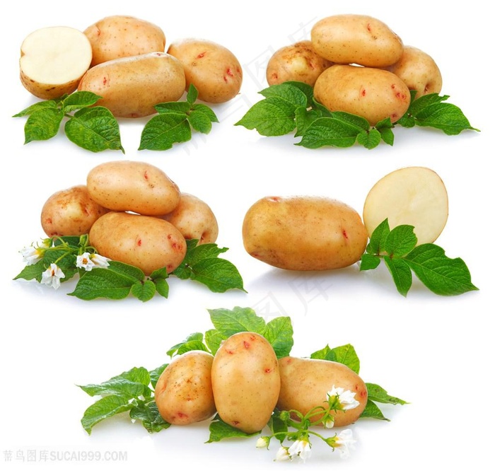 新鲜的土豆高清图片