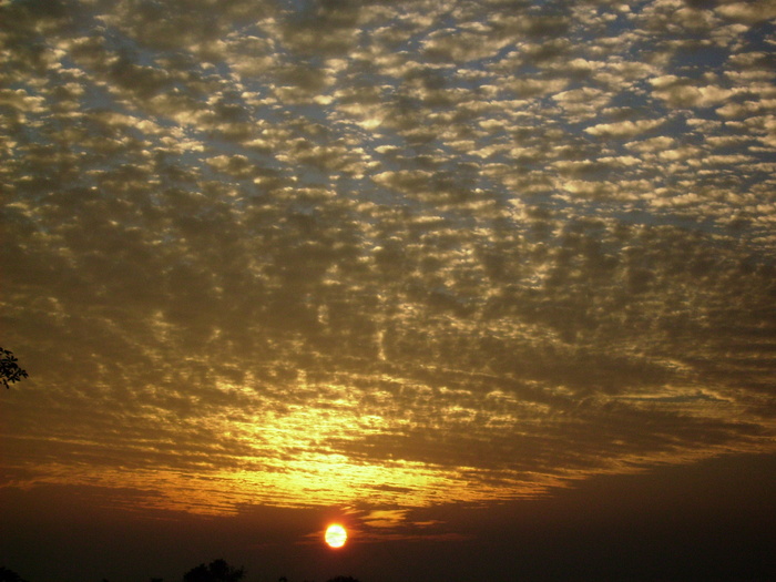 高清唯美夕阳图片下载