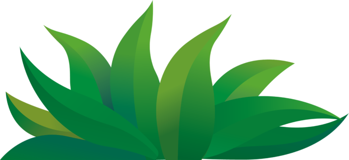 小草卡通简笔