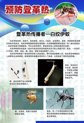预防登革热宣传系列挂图海报