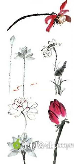 水墨荷花图片素材