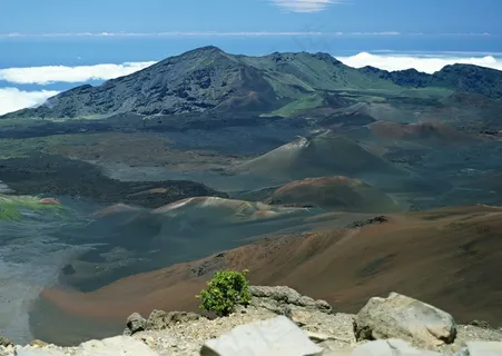 绿树山水 271 绿树山水 271
