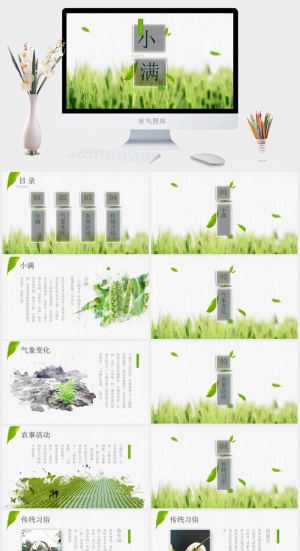小满——二十四节气ppt模板预览图