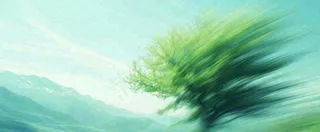 高山模糊绿树植物光影，大自然摄影图