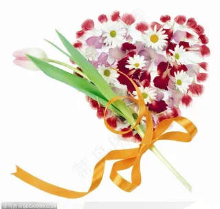 花饰小品-花瓣组成的心形