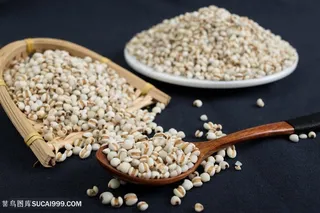 素食粮食薏米图片