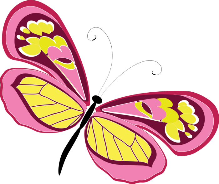 卡通动画动画蝴蝶免扣PNG手绘插画图片素材 (147)