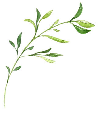 唯美森系手绘水彩花朵 免抠