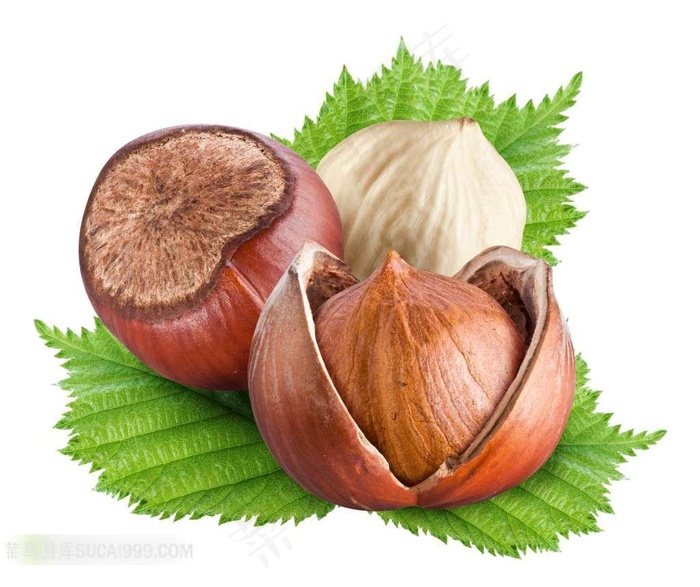 美味栗子素材