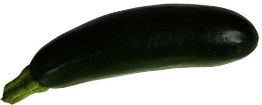 骨髓 PNG免抠(884x356)