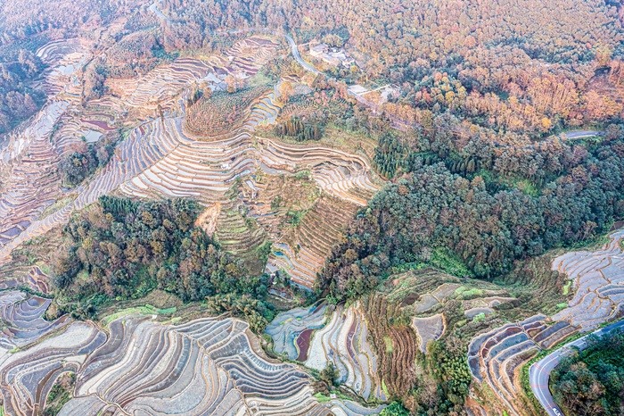 元阳胜村梯田