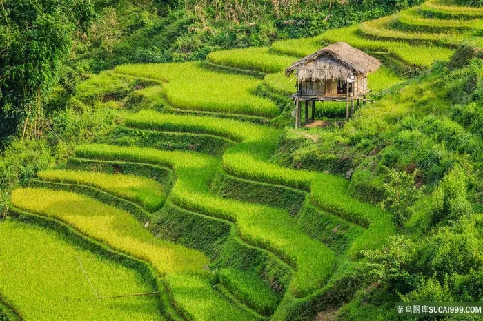 梯形田园风光图片
