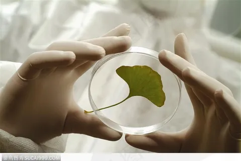 生物技术-手拿着培养皿