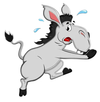 奔跑驴卡通
