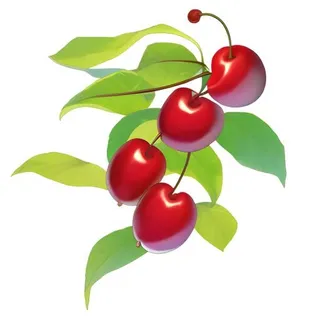 樱桃水果免抠