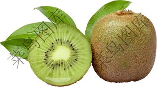 猕猴桃高清图2