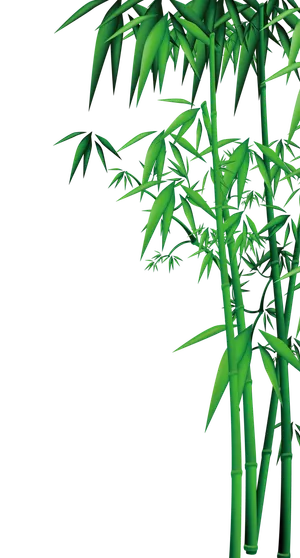 竹子水墨画中国风国画墨水书法竹子画